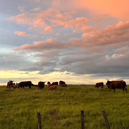 Semesterbostad Mas De Bannayoux